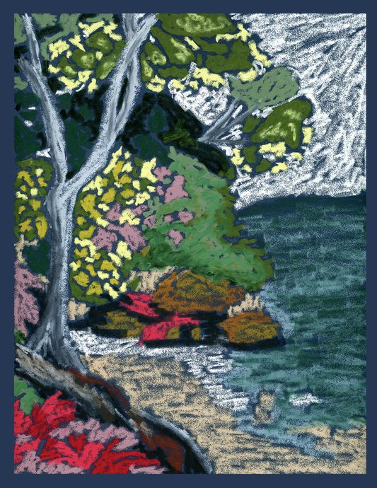 Cape Tribulation