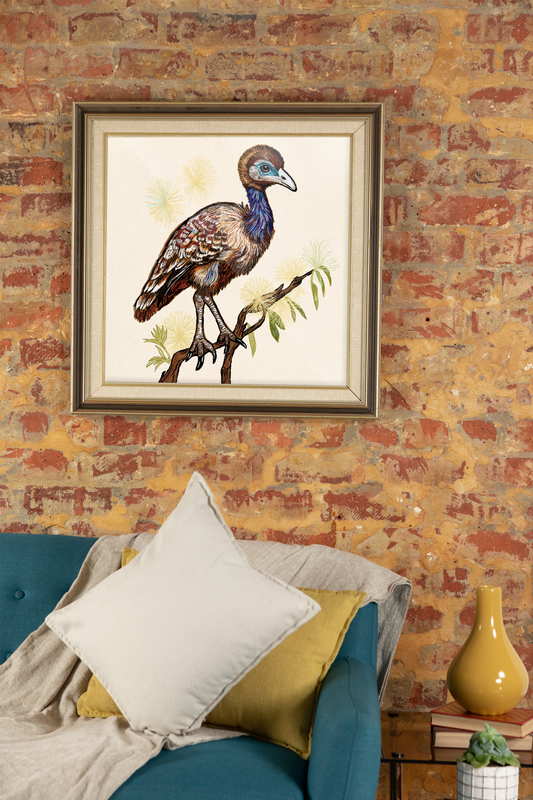 Hybrid Emu Cassowary Chic