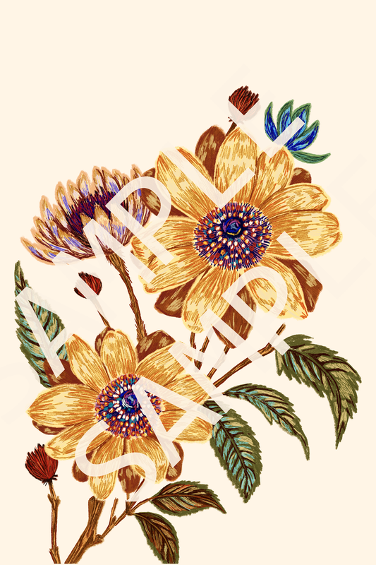 Wildflowers